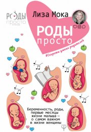 Роды-просто Беременность, роды, первые месяцы жизни малыша — о самом важном в жизни женщины - Лиза М аудиокниги 📗книги бесплатные в хорошем качестве  🔥 слушать онлайн без регистрации