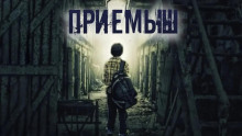 Приёмыш - Александр Цзи аудиокниги 📗книги бесплатные в хорошем качестве  🔥 слушать онлайн без регистрации