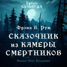 Сказочник из камеры смертников -                   Фрэнк Б. Рум аудиокниги 📗книги бесплатные в хорошем качестве  🔥 слушать онлайн без регистрации