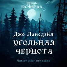 Угольная чернота -                   Лансдейл Джо аудиокниги 📗книги бесплатные в хорошем качестве  🔥 слушать онлайн без регистрации