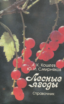 Лесные ягоды -                   Аркадий Кощеев аудиокниги 📗книги бесплатные в хорошем качестве  🔥 слушать онлайн без регистрации