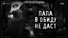 В обиду не даст -                   Роман Башаев аудиокниги 📗книги бесплатные в хорошем качестве  🔥 слушать онлайн без регистрации