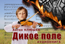Дикое Поле -                   Антон Клюшев аудиокниги 📗книги бесплатные в хорошем качестве  🔥 слушать онлайн без регистрации
