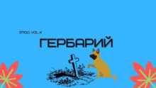 Гербарий - Александр Денисенко аудиокниги 📗книги бесплатные в хорошем качестве  🔥 слушать онлайн без регистрации