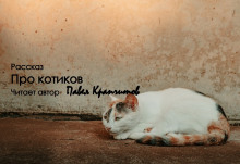 Про котиков - Автор неизвестен аудиокниги 📗книги бесплатные в хорошем качестве  🔥 слушать онлайн без регистрации