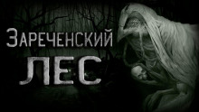 Легенда Зареченского леса -                   Ирина Тунова аудиокниги 📗книги бесплатные в хорошем качестве  🔥 слушать онлайн без регистрации