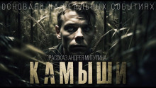 Камыши -                   Андрей Мигулин аудиокниги 📗книги бесплатные в хорошем качестве  🔥 слушать онлайн без регистрации