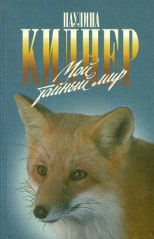 История барсучихи -                   Паулина Киднер аудиокниги 📗книги бесплатные в хорошем качестве  🔥 слушать онлайн без регистрации