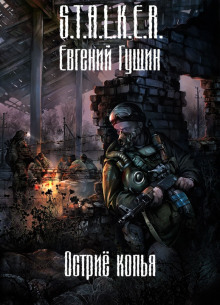 S.T.A.L.K.E.R. Острие копья - Евгений Гущин аудиокниги 📗книги бесплатные в хорошем качестве  🔥 слушать онлайн без регистрации