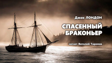 Спасенный браконьер - Джек Лондон аудиокниги 📗книги бесплатные в хорошем качестве  🔥 слушать онлайн без регистрации