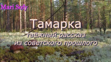 Тамарка -                   Юрий Насыбуллин аудиокниги 📗книги бесплатные в хорошем качестве  🔥 слушать онлайн без регистрации