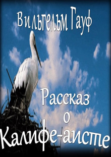 История о Калифе-Аисте - Вильгельм Гауф аудиокниги 📗книги бесплатные в хорошем качестве  🔥 слушать онлайн без регистрации