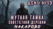 Дело №13 &quot;Пропавшая деревня&quot; -                   Егор Фенеков аудиокниги 📗книги бесплатные в хорошем качестве  🔥 слушать онлайн без регистрации