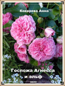 Госпожа Агнесса и эльф -                   Анна Кокарева аудиокниги 📗книги бесплатные в хорошем качестве  🔥 слушать онлайн без регистрации