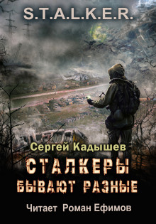 Сталкеры бывают разные -                   Сергей Кадышев аудиокниги 📗книги бесплатные в хорошем качестве  🔥 слушать онлайн без регистрации