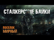 Сталкерские байки. Поселок Мирный - Сергей Борзов аудиокниги 📗книги бесплатные в хорошем качестве  🔥 слушать онлайн без регистрации