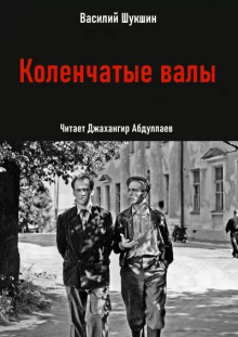 Коленчатые валы - Василий Шукшин аудиокниги 📗книги бесплатные в хорошем качестве  🔥 слушать онлайн без регистрации