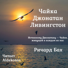 Чайка по имени Джонатан Ливингстон - Ричард Бах аудиокниги 📗книги бесплатные в хорошем качестве  🔥 слушать онлайн без регистрации