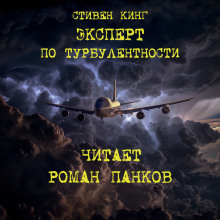 Эксперт по турбулентности - Стивен Кинг аудиокниги 📗книги бесплатные в хорошем качестве  🔥 слушать онлайн без регистрации