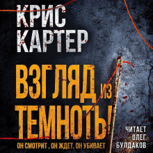 Взгляд из темноты -                   Крис Картер аудиокниги 📗книги бесплатные в хорошем качестве  🔥 слушать онлайн без регистрации