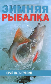 Зимняя рыбалка -                   Юрий Насыбуллин аудиокниги 📗книги бесплатные в хорошем качестве  🔥 слушать онлайн без регистрации