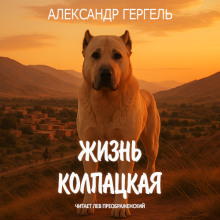Жизнь колпацкая - Александр Гергель аудиокниги книги бесплатные в хорошем качестве слушать онлайн без регистрации