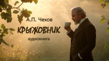 Крыжовник - Антон Чехов аудиокниги книги бесплатные в хорошем качестве слушать онлайн без регистрации