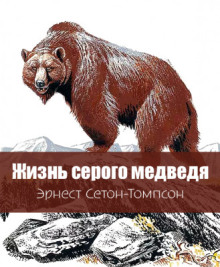 Жизнь серого медведя - Эрнест Сетон-Томпсон аудиокниги книги бесплатные в хорошем качестве слушать онлайн без регистрации