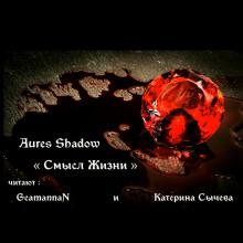 Смысл жизни -                   Aures Shadow аудиокниги книги бесплатные в хорошем качестве слушать онлайн без регистрации