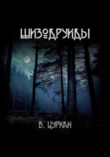 Шизодруиды - Валерий Цуркан аудиокниги книги бесплатные в хорошем качестве слушать онлайн без регистрации