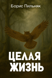 Целая жизнь - Борис Пильняк аудиокниги книги бесплатные в хорошем качестве слушать онлайн без регистрации