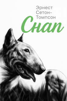 Снап - Эрнест Сетон-Томпсон аудиокниги книги бесплатные в хорошем качестве слушать онлайн без регистрации