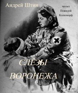 Слёзы Воронежа - Автор неизвестен аудиокниги книги бесплатные в хорошем качестве слушать онлайн без регистрации