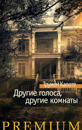 Другие голоса, другие комнаты - Трумен Капоте аудиокниги книги бесплатные в хорошем качестве слушать онлайн без регистрации