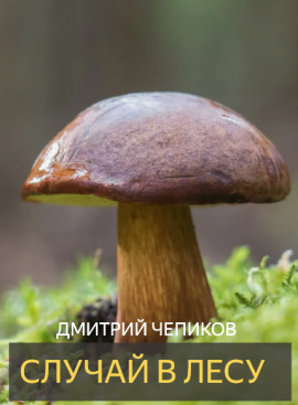 Случай в лесу - Дмитрий Чепиков аудиокниги книги бесплатные в хорошем качестве слушать онлайн без регистрации