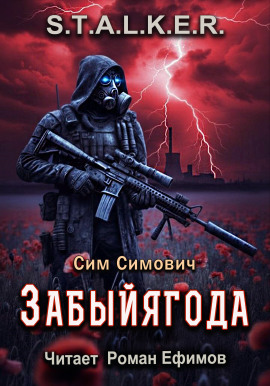 S.T.A.L.K.E.R. Забыйягода -                   Сим Симович аудиокниги книги бесплатные в хорошем качестве слушать онлайн без регистрации