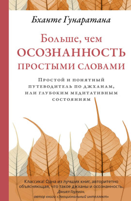 Больше, чем осознанность простыми словами. Простой и понятный путеводитель по джханам, или глубоким медитативным состояниям - Бханте Хенепола Гунаратана аудиокниги книги бесплатные в хорошем качестве слушать онлайн без регистрации