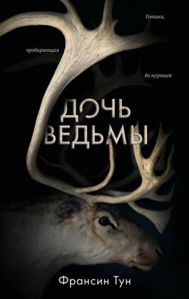 Дочь ведьмы -                   Тун Франсин аудиокниги книги бесплатные в хорошем качестве слушать онлайн без регистрации