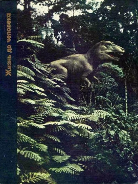 Жизнь до человека -                   Питер Вуд аудиокниги книги бесплатные в хорошем качестве слушать онлайн без регистрации