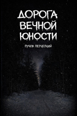 Дорога вечной юности -                   Пучок Перцепций аудиокниги книги бесплатные в хорошем качестве слушать онлайн без регистрации
